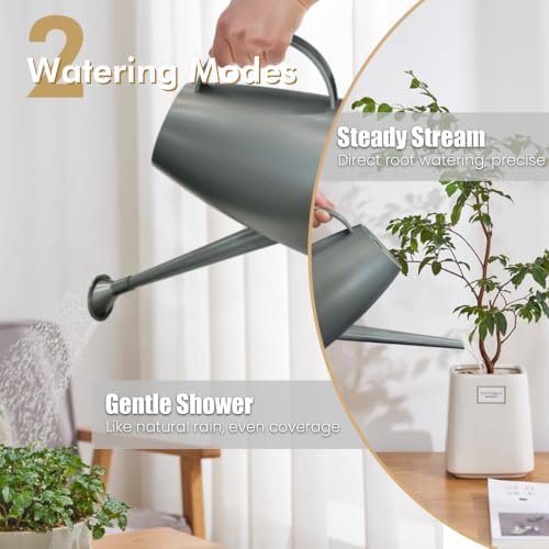 60 oz Watering Can, Small Watering Can for Indoor Plants with Long Spout - Image 2