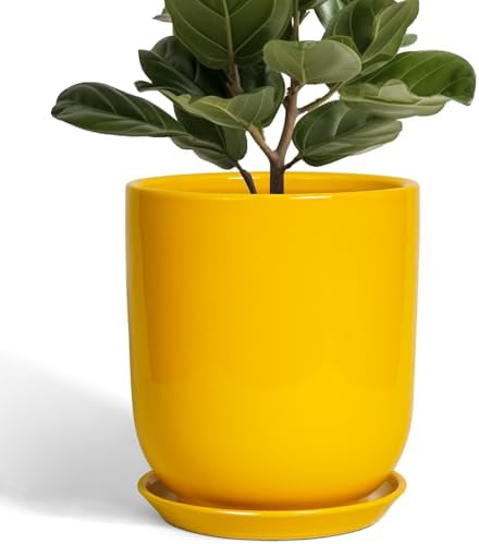 Ceramic Pot for Plants - 10 Inch Plant Pot Indoor with Drainage Hole and Saucer Large Planter for Outdoor Plants Cylinder Decorative Flower Pot Yellow by SUNPOTFOR