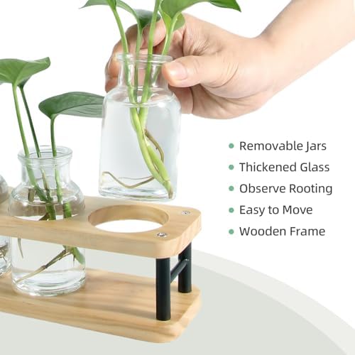THYGIFTREE Plant Propagation Station with Wooden Stand, Propagation Vases Glass Planters for Indoor Plants Hydroponic Propagating Jars Home Office Decor, Plant Lover Gifts - Image 2