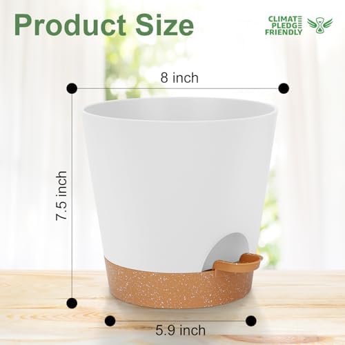 YNNICO 8-Inch Plant Pots, Self-Watering Planters with Drainage Holes & Saucers for Indoor and Outdoor Plants (2-Pack, White) - Image 4