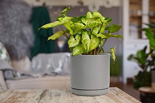 D'vine Dev 6 Inch Ceramic Planter Pot, Grey, 94-O-C-3 - Image 5