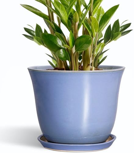 Ceramic Plant Pots, 10 Inch Plant Pot for Indoor, Purple-Blue by SUNPOTFOR