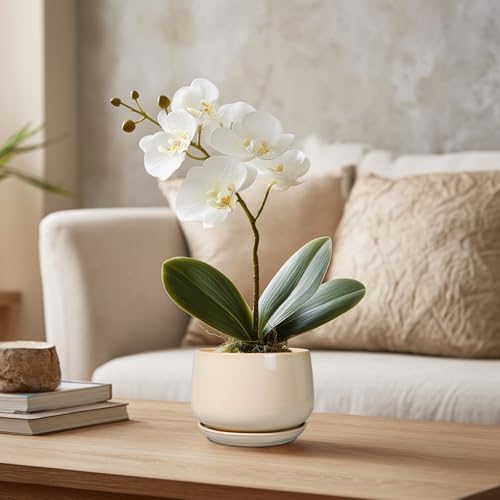 G EPGardening 4 inch Plant Pots - Ceramic Planter with Drainage Hole & Saucer, Small Plant Pots for Indoor Outdoor, Round Succulent Pot, Modern Decorative Flower Pot, Desk Decor, Garden Gifts, Beige - Image 5