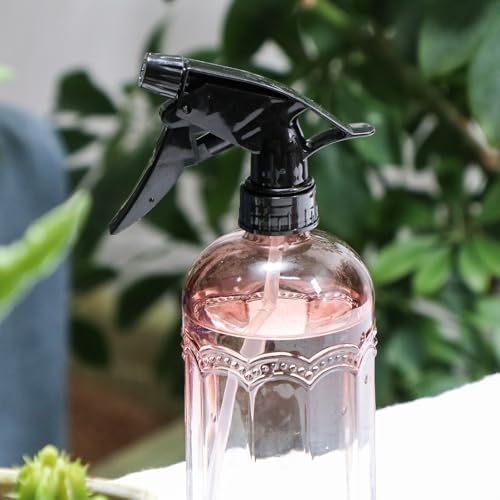 OFFIDIX Watering Can for Indoor Plants Long Spout Metal Stainless Steel 21 oz Small Watering Can with 14 oz Glass Plant Mister Spray Bottle for Plants Bonsai - Image 4
