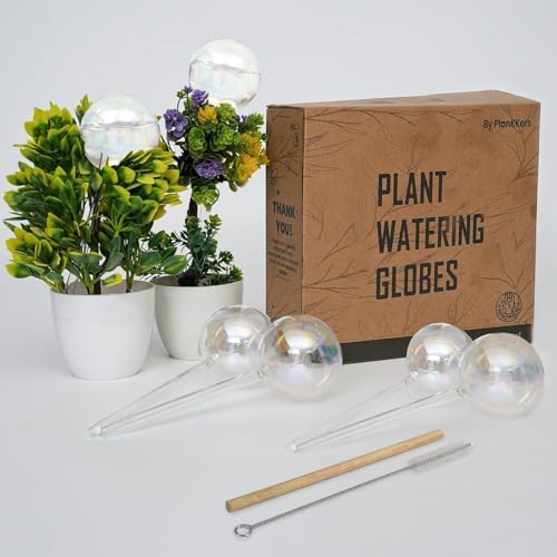 Iridescent Self Watering Globes, Glass Rainbow Plant Watering Globes, Self Watering Planter Insert, Automatic Plant Waterer Indoor (Large-6 Pcs Iridescent, Large) by Plankkers