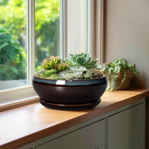 SQOWL Bonsai Tree Pots - 10 Inch Ceramic Succulent Pots with Drainage Hole and Saucer, Round Shallow Plant Pot Indoor Outdoor, Ceramic Bonsai Pot, Bowl Planter, Home Decor, Garden Gifts, Blue-Brown - Image 4