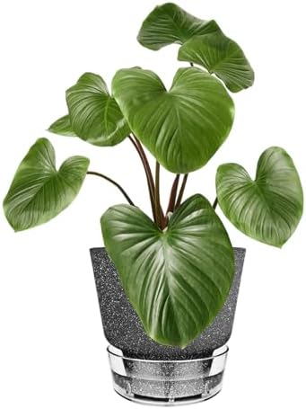 2024 Upgraded 5 Pack 6-Inch Self-Watering Planter Pots with Deep Reservoir for Indoor and Outdoor Plants with Planting Tools (Frosted Black) - Image 2