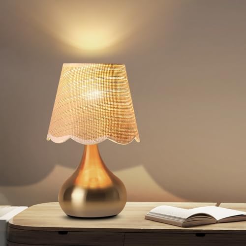 Small Table Lamp - Brass Gold Mini Table Lamps for Bedroom Vintage Decor Bedside Lamps for Night Stands Scalloped Rattan Shade Desk Lamp for Kids Room, Living Room, College Dorm, Home, Kitchen by Dolymoly