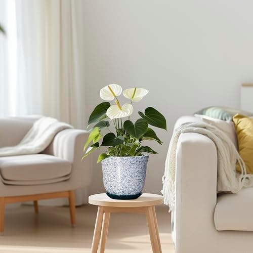 5.6 Inch Plant Pot - Ceramic Plant Pots for Indoor Outdoor, Round Orchid Succulent Pots with Drainage Hole and Saucer, Modern Flower Pot, Home Office Decor, Green-White - Image 7