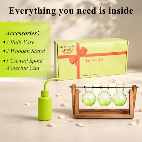 XXXFLOWER Plant Terrarium Kit with Wooden Stand 3 Gradient Green Bulb Vases - Image 5