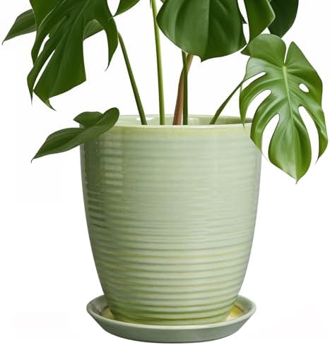 Ceramic Pots for Plants - Modern Round 8 Inch Planter with Drainage Hole and Plant Saucer for Flower Indoor Outdoor, Home Decor, House Warming Gifts, Green by EPFamily