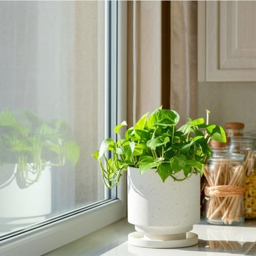 Nihow Ceramic Plant Pot Drainage Hole & Saucer for Indoor Plants, 5.7 Inch - Image 4