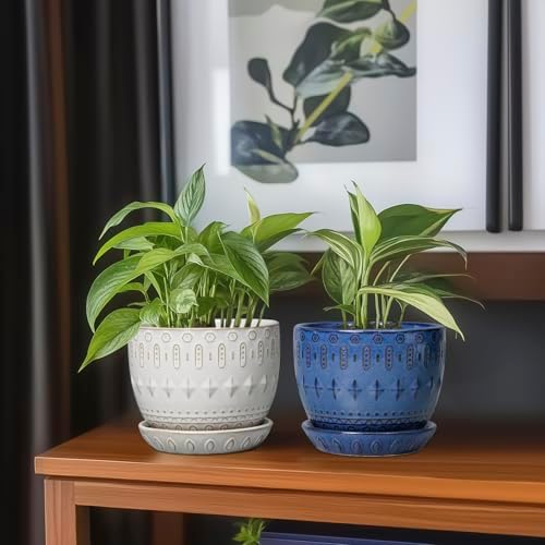 G EPGardening Ceramic Plant Pot - Succulent Pots with Drainage Hole and Saucer 5 Inch Planter for Indoor Plants Outdoor Decorative Round Flower Pot White - Image 7
