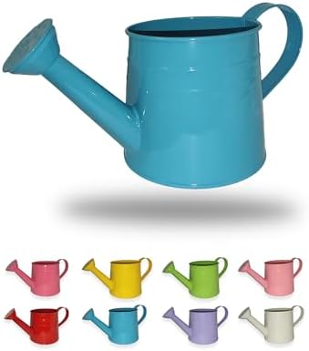 Small Watering Can for Indoor Plants, Blue, 1L by Unknown