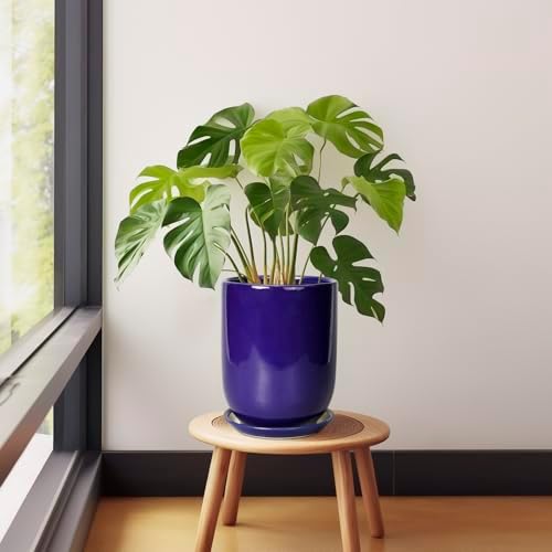 Ceramic Plant Pot - 8 Inch Planter for Indoor Plants Outdoor Flower Pot with Drainage Hole and Saucer Home Patio Office Decor Blue - Image 5
