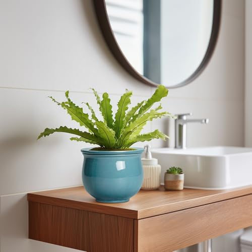 African Violet Pots 6 Inch, Ceramic Self Watering Pot with Absorbent Inner Planter, African Plant Pots for Indoor Plants, Round Flower Pot, Bedroom Decor, Gifts for Plant Lover, Glaze Blue - Image 5