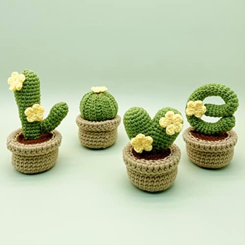 Lily's Lyric Crochet & Craft Kit | Cactus Love| Step-by-Step Video Tutorial for Adults Teenagers | Craft Gift Idea DIY Home Decoration - Image 2