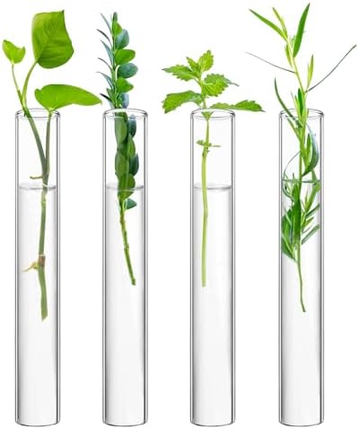 XXXFLOWER Glass Propagation Stations Accessories 4 Tube Vases by XXXFLOWER