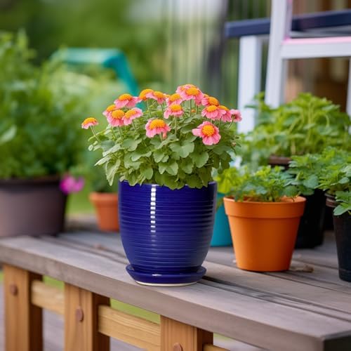 Ceramic Plant Pot - 6 Inch Pots for Plants, Round Ceramic Planters with Drainage Hole and Saucer, Decorative Flower Pots for Indoor Plants, Room Desk Decor, Housewarming Gifts, Glossy Blue - Image 4