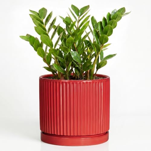 10 Inch Ceramic Planter, Round Flower Pots with Saucer, Red by Unknown