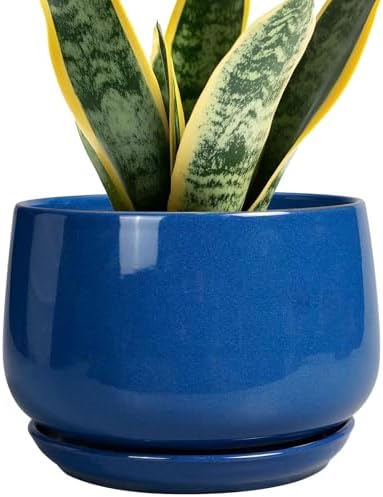 G EPGardening Round Ceramic Plant Pots, 7 Inch Modern Planter, Blue by GEPGardening