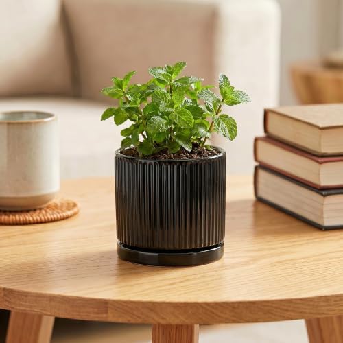 Ceramic Plant Pots, 4 Inch Pots for Plants, Round Flower Pot, Black - Image 4