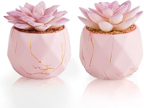 ZENIDA Artificial Succulent Plants in 2 Pink Ceramic Pots, Cute Fake Plants for Vanity Decor,Office, Desk, Bathroom, Kitchen,Bedroom, Shelves Decor for Women,Girls Gift by ZENIDA