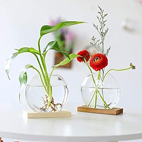 Kingbuy Round Glass Desktop Planter with Wooden Stand - Propagation Station for Small Hydroponic Plants, Spider Plants, Pothos, Lucky Bamboo - Terrarium Vase for Home Office Decor, 2-Pack, Brown - Image 5