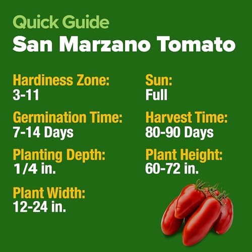 HOME GROWN San Marzano Tomato Seeds, 66+ Seeds, Solanum lycopersicum - Image 5