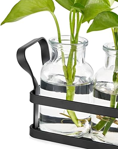 Mkono Propagation Stations, 3 Jars Desktop Glass Plant Terrarium with Stand - Image 6