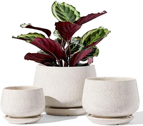 LE TAUCI Plant Pots, 4.1+5.1+6.5 inch, Set of 3, Ceramic Planters with Drainage Hole and Saucer, Indoor Flower Pot with Hole Mesh Pad, Gifts for Mom, Reactive Glaze Beige by LETAUCI