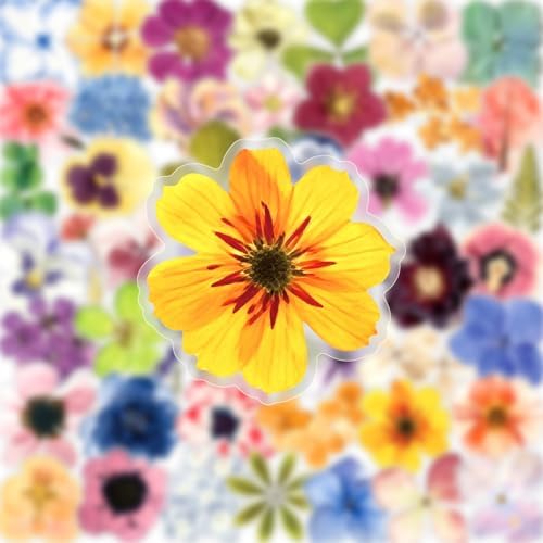50PCS Transparent Flora Scrapbook Stickers, Flower-E - Image 3