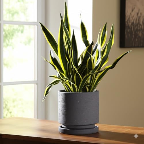 Nihow Ceramic Plant Pot Drainage Hole & Saucer for Indoor Plants, 5.7 Inch - Image 5