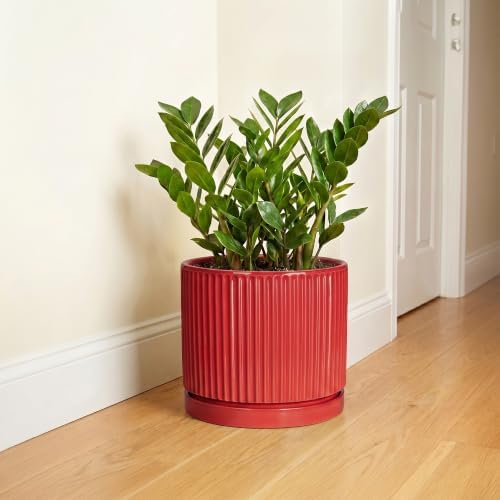 10 Inch Ceramic Planter, Round Flower Pots with Saucer, Red - Image 6