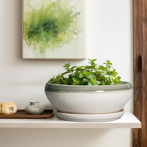 SQOWL Large Succulent Planters, 12 Inch Ceramic Bonsai Pots, Gray-Beige - Image 5