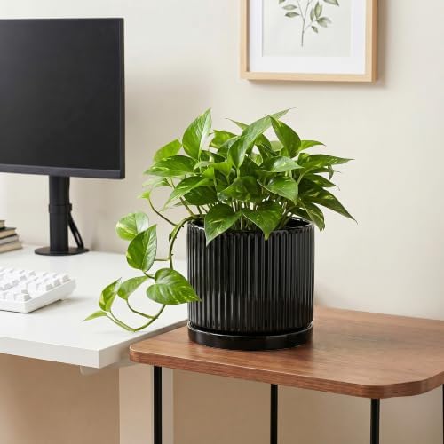 8 Inch Planter, Ceramic Pots for Plants, Round Plant Pot, Black - Image 5
