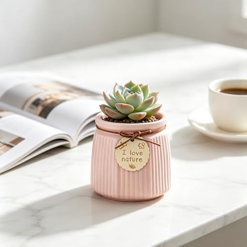 Pastel Ceramic Succulent Pots, Small Mini Flower Planter Pots with Jute Tag, Decorative Indoor Cactus Plant Container for Home Windowsill Desktop Decor (Pink) - Image 5
