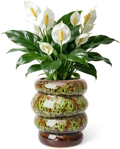5 inch Ceramic Plant Pot - Flower Pot for Indoor Plants with Drainage Hole by YINUOWEI