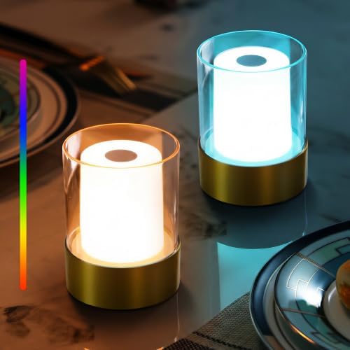 4" RGB Bronze Cordless Table Lamp 2, Small Outdoor Rechargeable Lamp by NEWSEE
