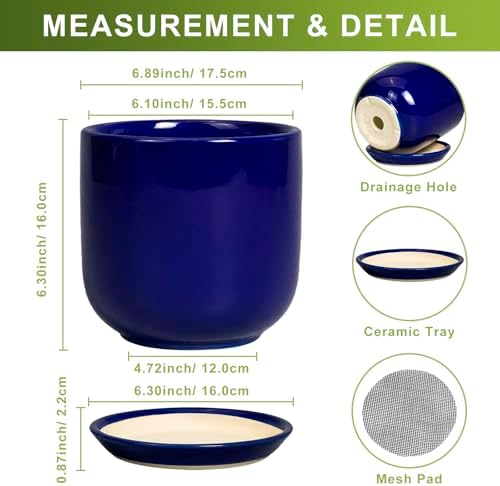 Ceramic Flower Pot 7 Inch - Cylinder 7 Inch Round Planter for Cactus Orchid Plants with Drainage Hole and Saucer, Home Office Room Desk Decor, Blue - Image 3