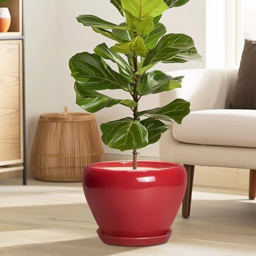 Ceramicfor 10 Inch Plant Pot, Ceramic Planter for Indoor Plants, Glossy Red - Image 2