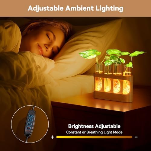 Plant Propagation Station with 9-Speed Adjustable LED Lights - Image 6
