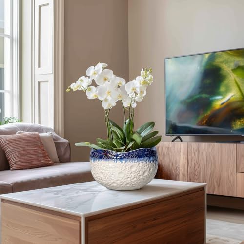 Ceramic Flower Pots, 10 Inch Planter with Drainage, Beige-Blue - Image 4