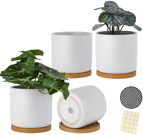 4 Inch Ceramic Plant Pots with Drainage Holes and Trays, Adorable Small Cylinder Flower Planter Pot with Saucers for Indoor Plants, Succulent, Snake Plants, Cactus & Herbs, White, Set of 4 by BABALIU