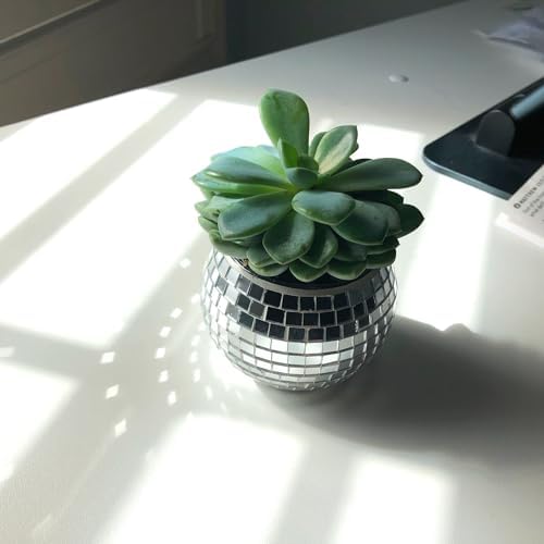 Mini Disco Ball Planter (Silver Color) Mini Vase Indoor Planter for Eucalyptus Plant for Shower Housewarming Gift Ideas Cute Desk Accessories Aesthetic Decor Silver - Image 3