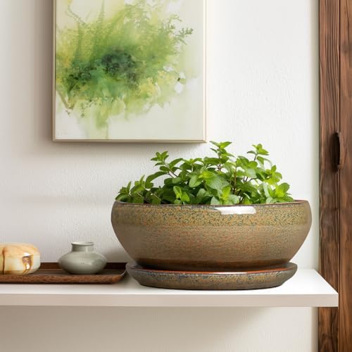 SQOWL Ceramic Bonsai Pots, 12 Inch Succulent Pots with Saucer, Brown - Image 5