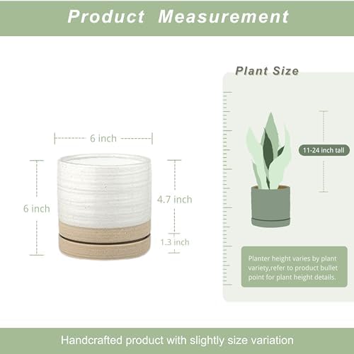 HERDUK 6 Inch Plant Pots, Ceramic Planter Pot with Drainage Hole & Saucer, Indoor/Outdoor Cylinder Round Planter Pot, White & Beige Glaze - Image 3