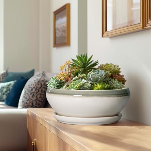SQOWL Large Succulent Planters, 12 Inch Ceramic Bonsai Pots, Gray-Beige - Image 3