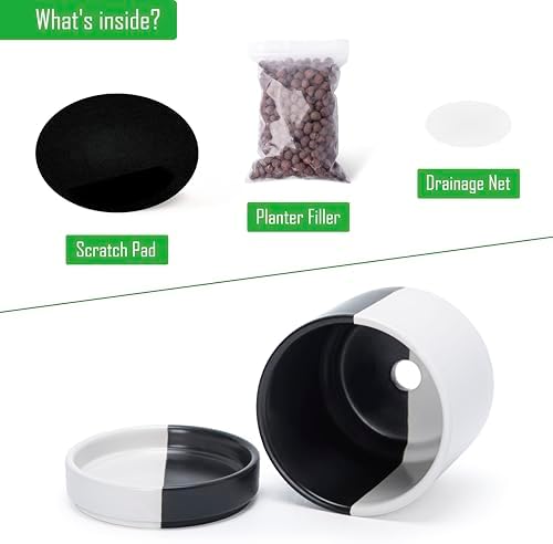 D'vine Dev 4.7 Inch Ceramic Planter Pot, Black White Split, 94-O-B-0 - Image 4