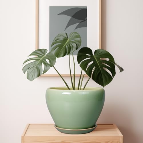 Ceramicfor Ceramic Planter Pot, 10 Inch Plant Pot, Reactive Green - Image 7